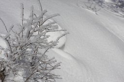 Kandersteg 2013